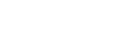 Bidata Logo